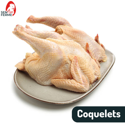 [#cdc] Coquelets - 800g